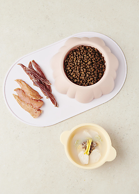 포토 JPG 스튜디오촬영 사람없음 하이앵글 먹이 오브젝트 떡국 개사료 애견간식 육포 영양_영양소 펫푸드 국내포토 한식 뷰포인트 실내 전통음식 애견용품 영양소 파일형식