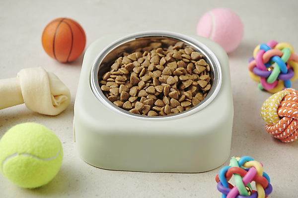 포토 JPG 스튜디오촬영 사람없음 장난감 먹이 오브젝트 애견용품 개사료 영양_영양소 펫푸드 국내포토 반려용품 실내 영양소 파일형식