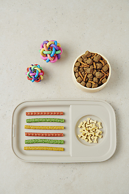 포토 JPG 스튜디오촬영 사람없음 하이앵글 장난감 먹이 오브젝트 애견간식 영양_영양소 펫푸드 국내포토 뷰포인트 실내 애견용품 영양소 파일형식