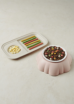 포토 JPG 스튜디오촬영 사람없음 먹이 오브젝트 개사료 애견간식 영양_영양소 펫푸드 국내포토 실내 애견용품 영양소 파일형식