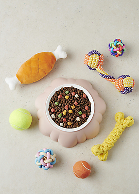 포토 JPG 스튜디오촬영 사람없음 하이앵글 장난감 먹이 오브젝트 애견용품 개사료 애견간식 영양_영양소 펫푸드 국내포토 반려용품 뷰포인트 실내 영양소 파일형식