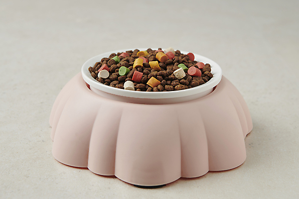 포토 JPG 스튜디오촬영 사람없음 먹이 오브젝트 개밥그릇 개사료 애견간식 영양_영양소 펫푸드 국내포토 그릇 실내 애견용품 영양소 파일형식