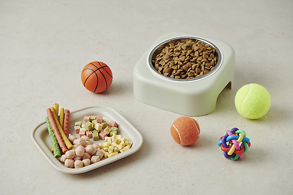 포토 JPG 스튜디오촬영 공 사람없음 장난감 먹이 오브젝트 개사료 애견간식 영양_영양소 펫푸드 국내포토 실내 애견용품 영양소 파일형식