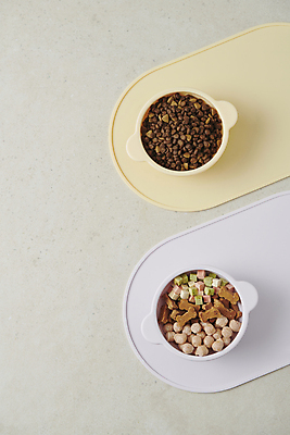 포토 JPG 스튜디오촬영 사람없음 하이앵글 먹이 오브젝트 개사료 애견간식 영양_영양소 펫푸드 국내포토 뷰포인트 실내 애견용품 영양소 파일형식