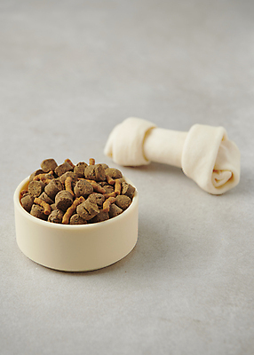 포토 JPG 스튜디오촬영 사람없음 먹이 오브젝트 개껌 개사료 애견간식 영양_영양소 펫푸드 국내포토 실내 애견용품 영양소 파일형식