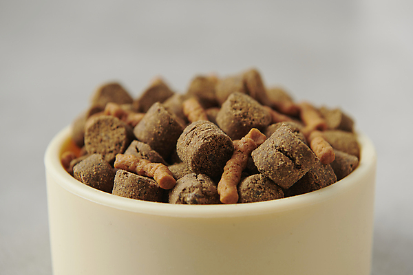 포토 JPG 스튜디오촬영 근접촬영 사람없음 아웃포커스 먹이 오브젝트 개사료 영양_영양소 펫푸드 국내포토 뷰포인트 촬영기법 실내 애견용품 영양소 파일형식