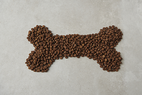 포토 JPG 스튜디오촬영 사람없음 하이앵글 먹이 개사료 뼈다귀모양 펫푸드 국내포토 모양 뷰포인트 실내 애견용품 파일형식