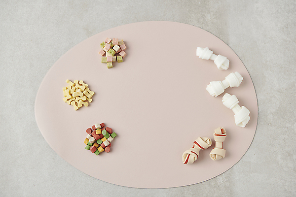 포토 JPG 스튜디오촬영 프레임 사람없음 하이앵글 먹이 오브젝트 개껌 애견간식 영양_영양소 카피스페이스 펫푸드 국내포토 뷰포인트 실내 공백 애견용품 영양소 파일형식