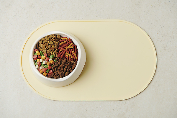 포토 JPG 스튜디오촬영 사람없음 하이앵글 먹이 오브젝트 개사료 애견간식 영양_영양소 카피스페이스 펫푸드 국내포토 뷰포인트 실내 공백 애견용품 영양소 파일형식