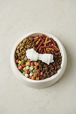 포토 JPG 스튜디오촬영 사람없음 먹이 오브젝트 개껌 애견간식 영양_영양소 펫푸드 국내포토 실내 애견용품 영양소 파일형식