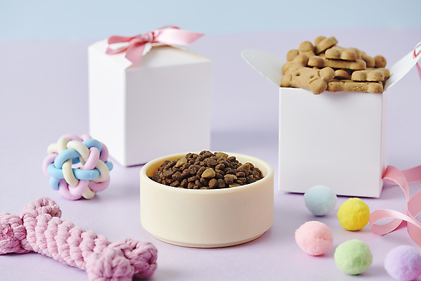 포토 JPG 스튜디오촬영 선물 사람없음 선물상자 상자 장난감 먹이 오브젝트 개사료 애견간식 영양_영양소 펫푸드 국내포토 실내 애견용품 영양소 파일형식