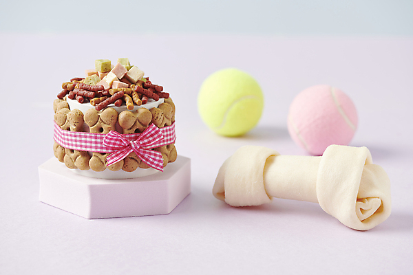 포토 JPG 스튜디오촬영 사람없음 아웃포커스 케이크 생일 먹이 오브젝트 개껌 애견간식 영양_영양소 펫푸드 국내포토 기념일 디저트 촬영기법 실내 애견용품 영양소 파일형식