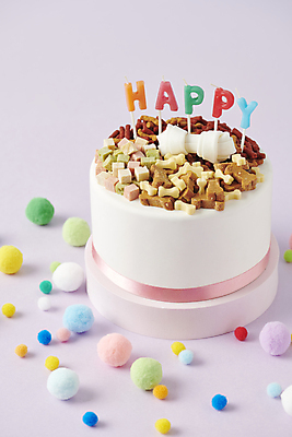 포토 JPG 스튜디오촬영 사람없음 케이크 생일 먹이 오브젝트 애견간식 영양_영양소 펫푸드 국내포토 기념일 디저트 실내 애견용품 영양소 파일형식