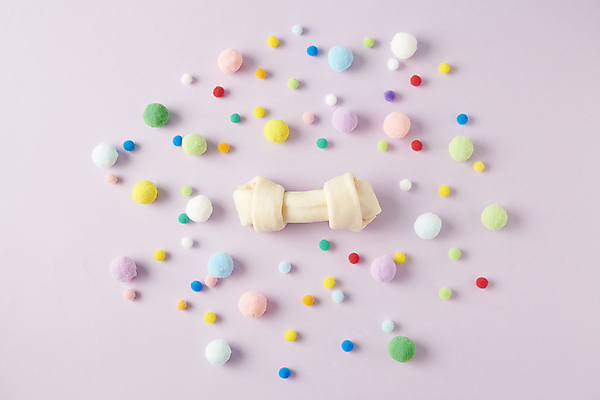 포토 JPG 스튜디오촬영 사람없음 하이앵글 먹이 오브젝트 개껌 애견간식 영양_영양소 펫푸드 국내포토 뷰포인트 실내 애견용품 영양소 파일형식