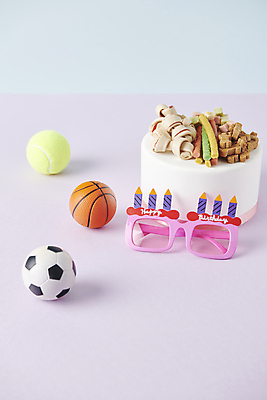 포토 JPG 스튜디오촬영 안경 공 사람없음 케이크 축하 생일 먹이 오브젝트 애견간식 영양_영양소 펫푸드 국내포토 잡화 기념일 컨셉 디저트 실내 애견용품 영양소 파일형식