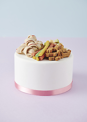 포토 JPG 스튜디오촬영 사람없음 케이크 축하 생일 먹이 오브젝트 개껌 애견간식 영양_영양소 펫푸드 국내포토 기념일 컨셉 디저트 실내 애견용품 영양소 파일형식