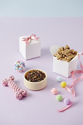 포토 JPG 스튜디오촬영 선물 사람없음 선물상자 상자 장난감 먹이 오브젝트 개사료 애견간식 영양_영양소 펫푸드 국내포토 실내 애견용품 영양소 파일형식