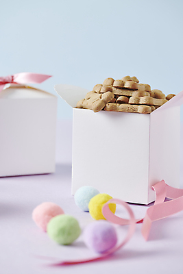 포토 JPG 스튜디오촬영 사람없음 선물상자 장난감 먹이 오브젝트 애견간식 영양_영양소 펫푸드 국내포토 실내 선물 상자 애견용품 영양소 파일형식