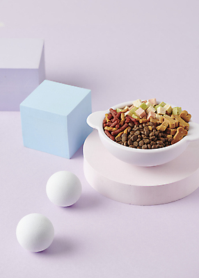 포토 JPG 스튜디오촬영 사람없음 먹이 오브젝트 개사료 애견간식 입체도형 영양_영양소 펫푸드 국내포토 도형 실내 입체 애견용품 영양소 파일형식