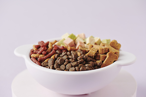 포토 JPG 스튜디오촬영 근접촬영 사람없음 먹이 오브젝트 개사료 애견간식 영양_영양소 펫푸드 국내포토 뷰포인트 실내 애견용품 영양소 파일형식