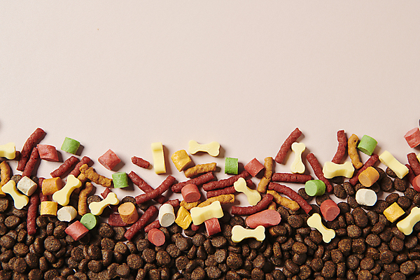 포토 JPG 스튜디오촬영 백그라운드 사람없음 하이앵글 먹이 오브젝트 개사료 애견간식 영양_영양소 카피스페이스 펫푸드 국내포토 뷰포인트 실내 공백 애견용품 영양소 파일형식