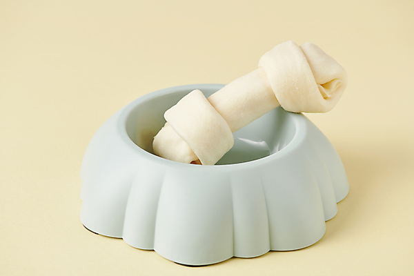 포토 JPG 스튜디오촬영 사람없음 먹이 오브젝트 개껌 개밥그릇 애견간식 영양_영양소 펫푸드 국내포토 그릇 실내 애견용품 영양소 파일형식