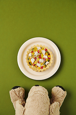 포토 JPG 스튜디오촬영 사람없음 하이앵글 먹이 오브젝트 파이 강아지인형 애견간식 영양_영양소 펫푸드 국내포토 빵 인형 뷰포인트 실내 애견용품 영양소 파일형식