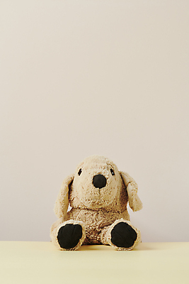 포토 JPG 스튜디오촬영 반려견 백그라운드 사람없음 오브젝트 강아지인형 카피스페이스 국내포토 인형 실내 반려동물 공백 개 파일형식