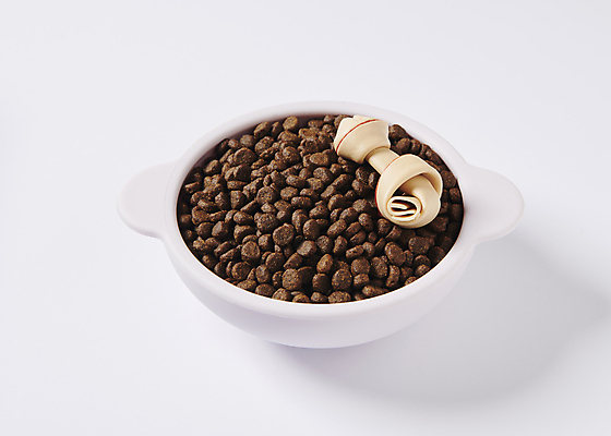 포토 JPG 스튜디오촬영 사람없음 먹이 오브젝트 개껌 개밥그릇 개사료 애견간식 영양_영양소 펫푸드 국내포토 그릇 실내 애견용품 영양소 파일형식