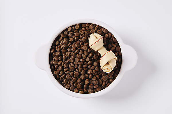 포토 JPG 스튜디오촬영 사람없음 하이앵글 먹이 오브젝트 개껌 개밥그릇 개사료 애견간식 영양_영양소 펫푸드 국내포토 그릇 뷰포인트 실내 애견용품 영양소 파일형식