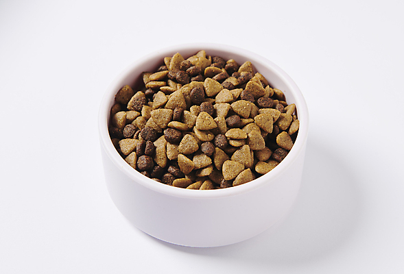포토 JPG 스튜디오촬영 사람없음 먹이 오브젝트 개밥그릇 개사료 영양_영양소 펫푸드 국내포토 그릇 실내 애견용품 영양소 파일형식