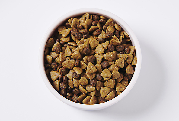 포토 JPG 스튜디오촬영 사람없음 하이앵글 먹이 오브젝트 개밥그릇 개사료 영양_영양소 펫푸드 국내포토 그릇 뷰포인트 실내 애견용품 영양소 파일형식