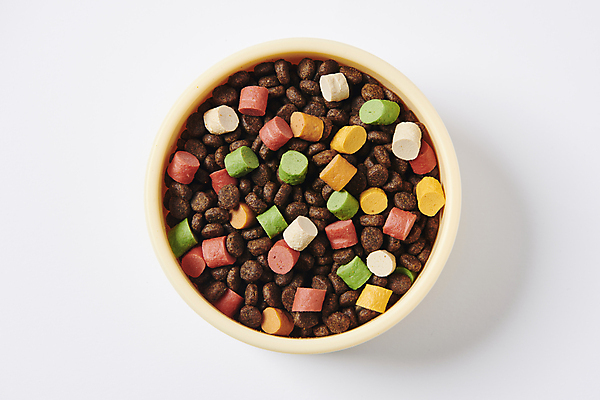 포토 JPG 스튜디오촬영 사람없음 하이앵글 먹이 오브젝트 개밥그릇 개사료 영양_영양소 펫푸드 국내포토 그릇 뷰포인트 실내 애견용품 영양소 파일형식