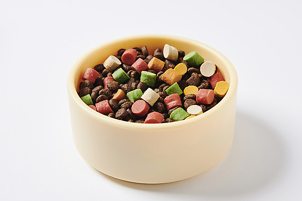 포토 JPG 스튜디오촬영 사람없음 먹이 오브젝트 개밥그릇 개사료 영양_영양소 펫푸드 국내포토 그릇 실내 애견용품 영양소 파일형식