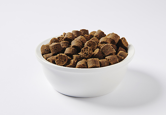 포토 JPG 스튜디오촬영 사람없음 먹이 오브젝트 개밥그릇 개사료 영양_영양소 펫푸드 국내포토 그릇 실내 애견용품 영양소 파일형식