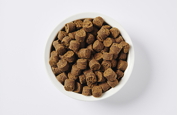 포토 JPG 스튜디오촬영 사람없음 하이앵글 먹이 오브젝트 개밥그릇 개사료 영양_영양소 펫푸드 국내포토 그릇 뷰포인트 실내 애견용품 영양소 파일형식