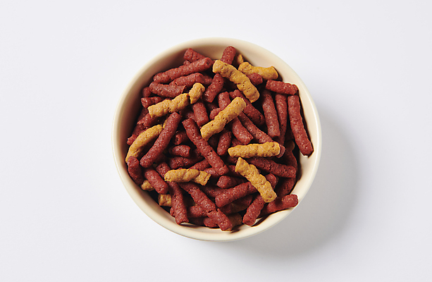 포토 JPG 스튜디오촬영 사람없음 하이앵글 먹이 오브젝트 개밥그릇 개사료 영양_영양소 펫푸드 국내포토 그릇 뷰포인트 실내 애견용품 영양소 파일형식