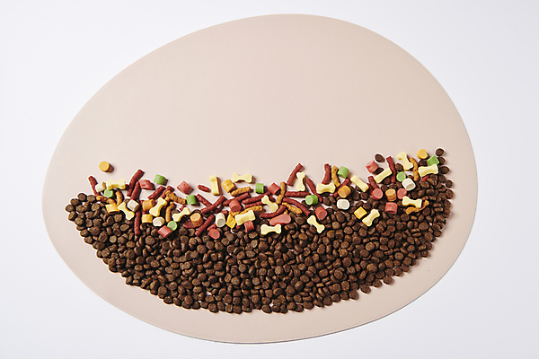 포토 JPG 스튜디오촬영 사람없음 하이앵글 먹이 오브젝트 애견간식 영양_영양소 카피스페이스 펫푸드 국내포토 뷰포인트 실내 공백 애견용품 영양소 파일형식