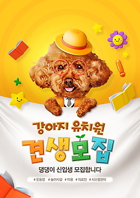 PSD 편집이미지 모자 반려견 타이포그라피 사람없음 노란색 강아지 푸들 유치원복 모집 안경낌 애견유치원 이미지편집 문자 잡화 옷 안경 컬러 반려동물 개 파일형식