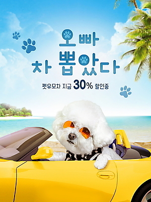 PSD 편집이미지 반려견 타이포그라피 사람없음 선글라스 세일 강아지 승차 오픈카 비숑프리제 개모차 프로모션 이미지편집 문자 안경 모션 승용차 이벤트 반려동물 개 애견용품 파일형식