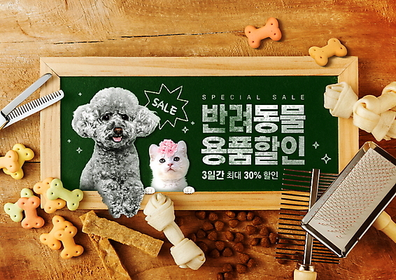 PSD 편집이미지 반려견 사각프레임 타이포그라피 사람없음 세일 강아지 터키시앙고라 푸들 애견간식 애견빗 반려묘 애묘간식 프로모션 이미지편집 반려용품 문자 프레임 이벤트 반려동물 사각형 고양이 개 오브젝트 애견용품 파일형식