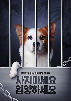 PSD 편집이미지 손 실루엣 타이포그라피 사람없음 신체부위 회색 강아지 울음 감옥 눈물 갇힘 유기견 입양 이미지편집 문자 감정 컬러 모션 촬영기법 표정 사람 반려동물 개 파일형식 유기동물