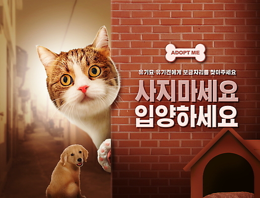 PSD 편집이미지 벽 두마리 벽돌 타이포그라피 사람없음 갈색 고양이 강아지 개집 유기견 입양 유기묘 이미지편집 문자 컬러 2 포유류 반려동물 개 애견용품 파일형식 유기동물