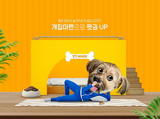 PSD 편집이미지 타이포그라피 사람없음 반려동물 운동복 눕기 노란색 침대 강아지 먹이 개집 이미지편집 동물 문자 옷 컬러 가구 모션 개 애견용품 파일형식