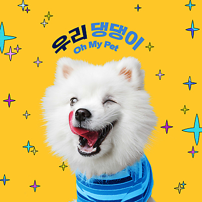 PSD 편집이미지 한마리 반려견 윙크 타이포그라피 사람없음 반려동물 노란색 귀여움 강아지 포메라니안 이미지편집 동물 문자 1 컬러 컨셉 표정 개 파일형식