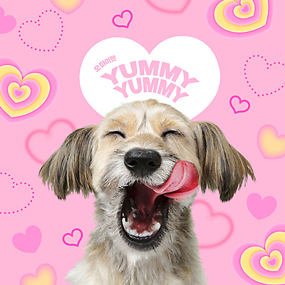 PSD 편집이미지 한마리 반려견 분홍색 입벌림 사람없음 반려동물 귀여움 하트 강아지 믹스견 이미지편집 모양 동물 1 컬러 컨셉 표정 개 파일형식