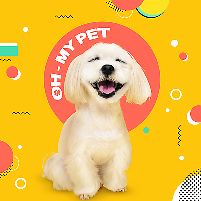 PSD 편집이미지 한마리 반려견 웃음 사람없음 반려동물 노란색 귀여움 말티즈 강아지 이미지편집 동물 1 컬러 컨셉 표정 개 파일형식