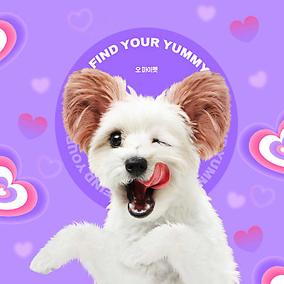 PSD 편집이미지 한마리 반려견 윙크 사람없음 반려동물 귀여움 보라색 하트 강아지 믹스견 이미지편집 모양 동물 1 컬러 컨셉 표정 개 파일형식