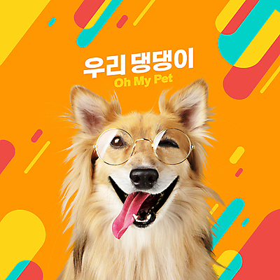 PSD 편집이미지 한마리 반려견 안경 윙크 웃음 사람없음 반려동물 귀여움 주황색 강아지 믹스견 이미지편집 동물 1 잡화 컬러 컨셉 표정 개 파일형식