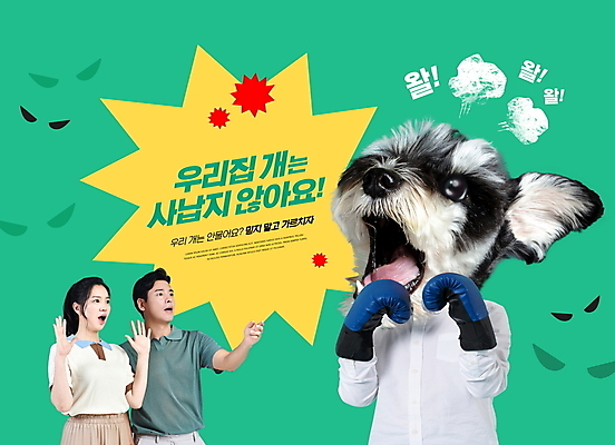 PSD 편집이미지 한마리 여자 남자 반려견 40대 중년 상반신 두명 초록색 반려동물 놀람 한국인 예절 강아지 미니어처슈나우져 사나움 매너 중년만 펫티켓 이미지편집 동물 1 감정 컬러 표정 사람 동양인 성인 개 슈나우저 성인만 파일형식